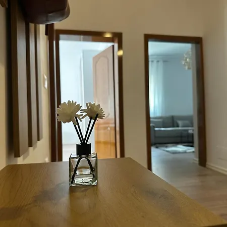 Spacious And Centrally Located Near The Stadium Tirana